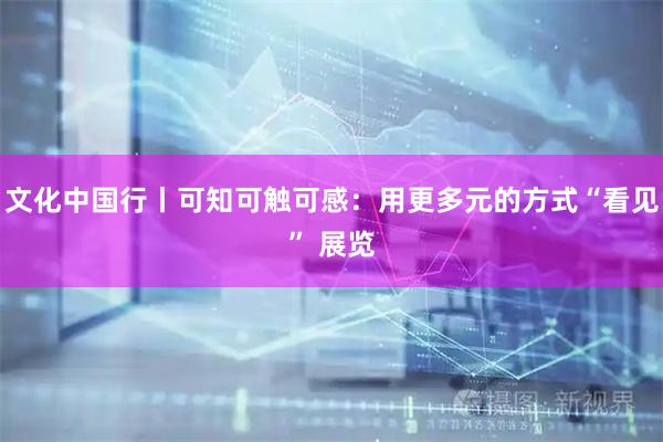 文化中国行丨可知可触可感:用更多元的方式“看见” 展览